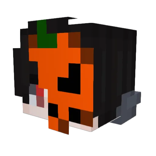 Tororowasd Minecraft avatar head, 3D render