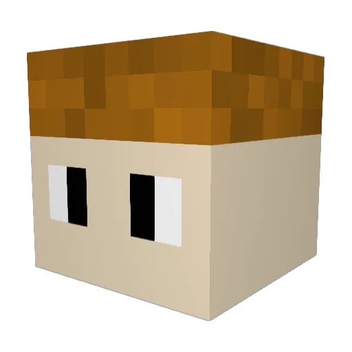 Torosaurus88 Minecraft avatar head, 3D render
