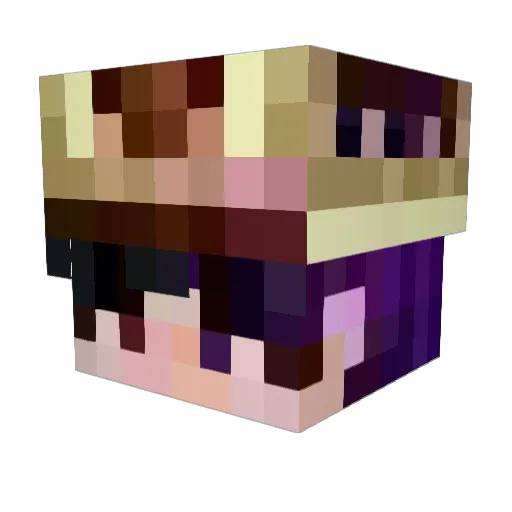 Torp21 Minecraft avatar head, 3D render