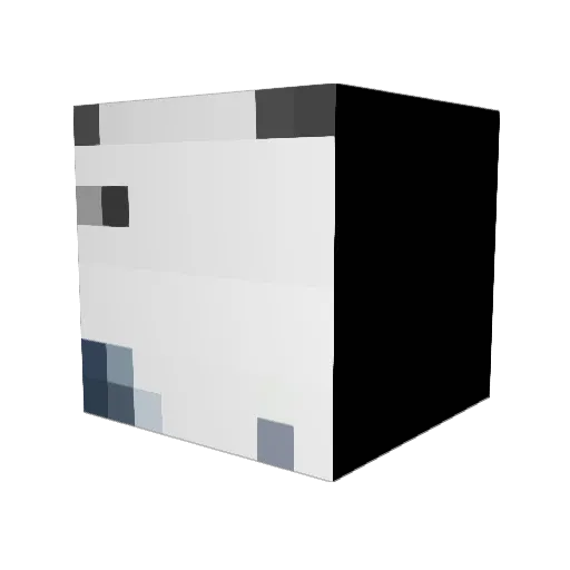 Torpooo Minecraft avatar head, 3D render