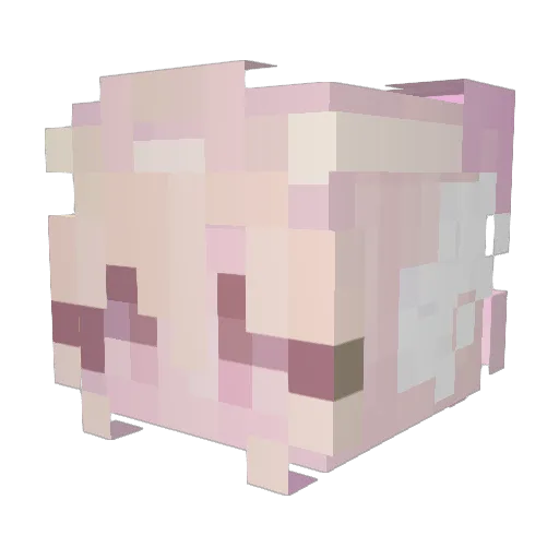 Torpus Minecraft avatar head, 3D render