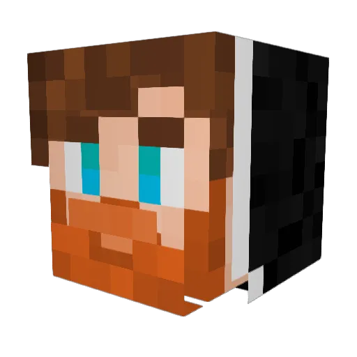 Torquedd Minecraft avatar head, 3D render