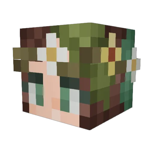 Torr401 Minecraft avatar head, 3D render