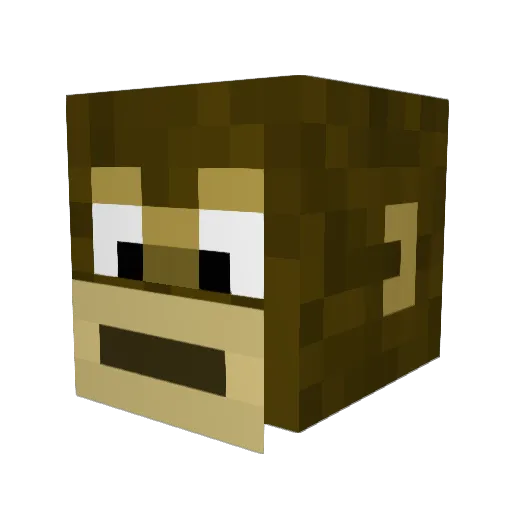 Torrecusaa Minecraft avatar head, 3D render