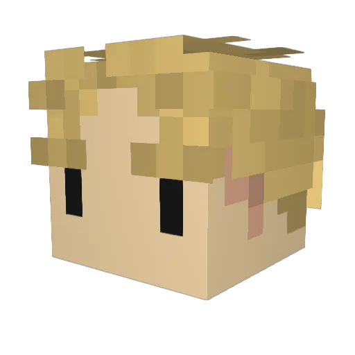 Torrent02 Minecraft avatar head, 3D render