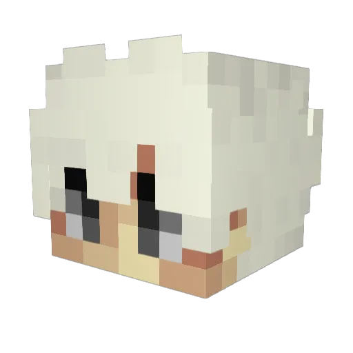 Torres006 Minecraft avatar head, 3D render