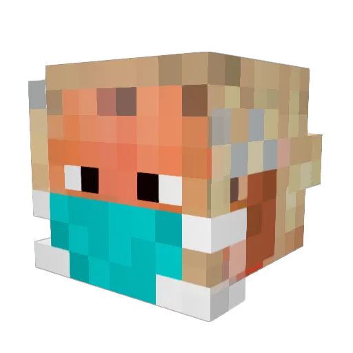 Torrescute Minecraft avatar head, 3D render