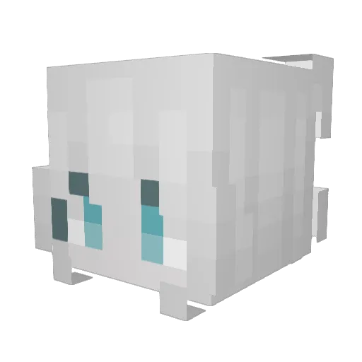 Torry_0309 Minecraft avatar head, 3D render