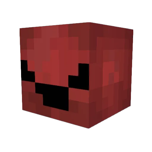 Tort14 Minecraft avatar head, 3D render