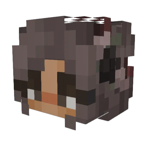 Tortality Minecraft avatar head, 3D render