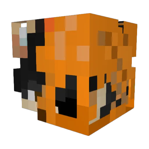 Torteishon Minecraft avatar head, 3D render