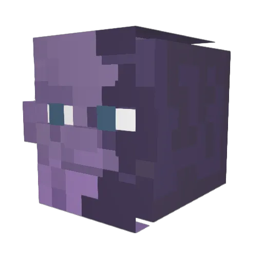 Tortellini29 Minecraft avatar head, 3D render