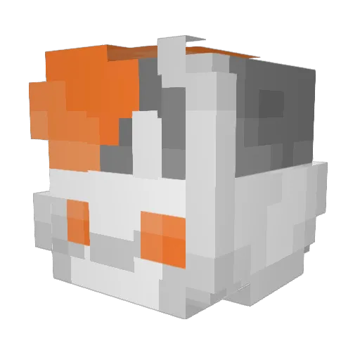 TorterraLvlX Minecraft avatar head, 3D render