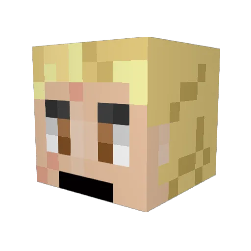 Tortilla5 Minecraft avatar head, 3D render