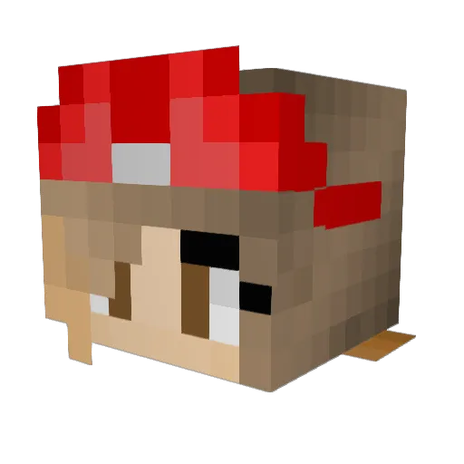 Tortilla5K Minecraft avatar head, 3D render