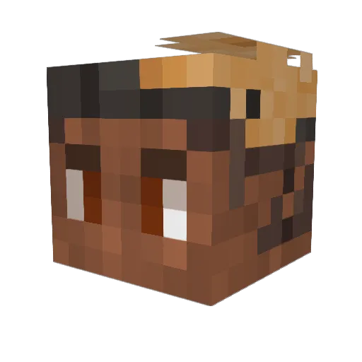 Tortilla777 Minecraft avatar head, 3D render