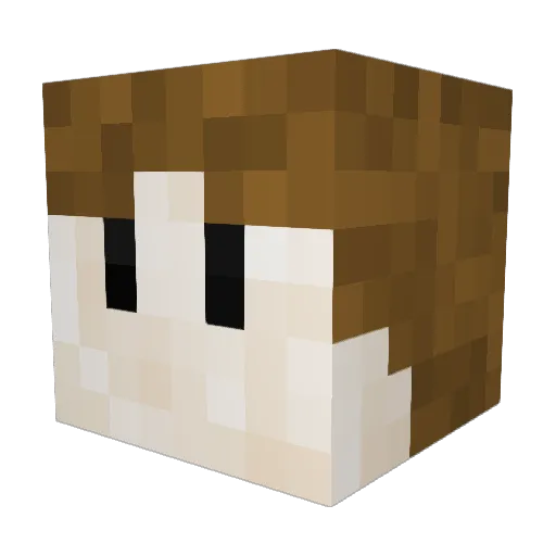TortillaJesus Minecraft avatar head, 3D render