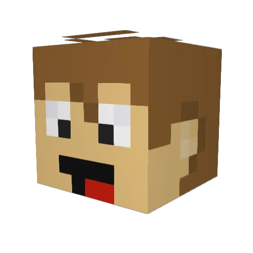 Tortilla_35 Minecraft avatar head, 3D render