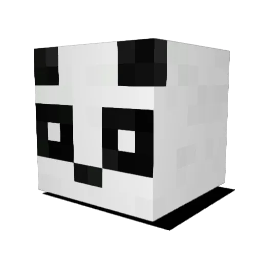 Tortilla_Gaming Minecraft avatar head, 3D render