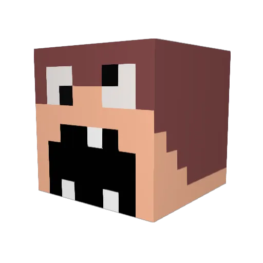 Tortillax3 Minecraft avatar head, 3D render