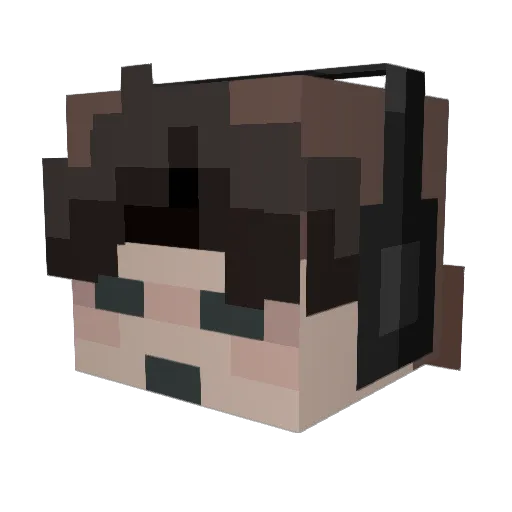 Tortitude99 Minecraft avatar head, 3D render