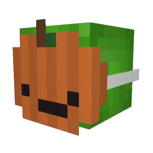 Tortleboi Minecraft avatar head, 3D render