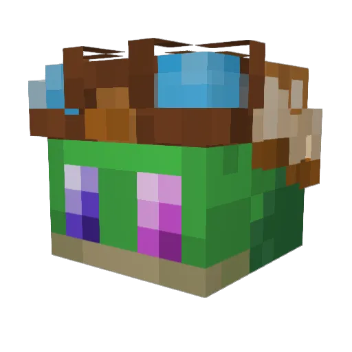 Tortls Minecraft avatar head, 3D render