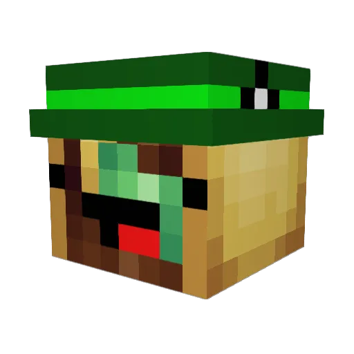 TortoGato Minecraft avatar head, 3D render