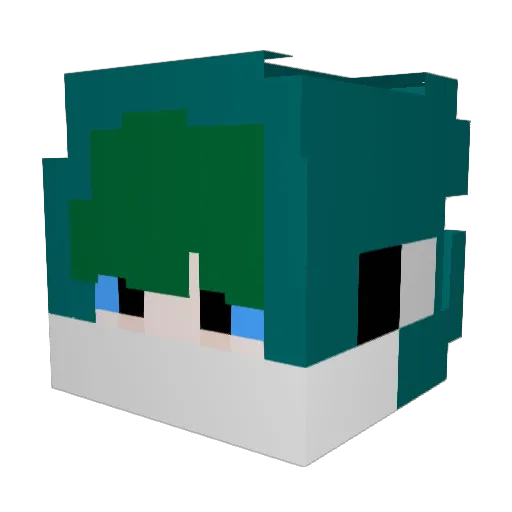 Tortoise0109 Minecraft avatar head, 3D render
