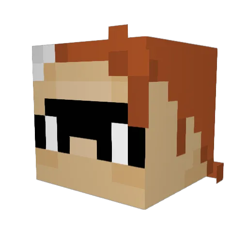 TortoiseRacing Minecraft avatar head, 3D render