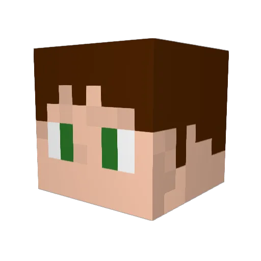Torton11 Minecraft avatar head, 3D render