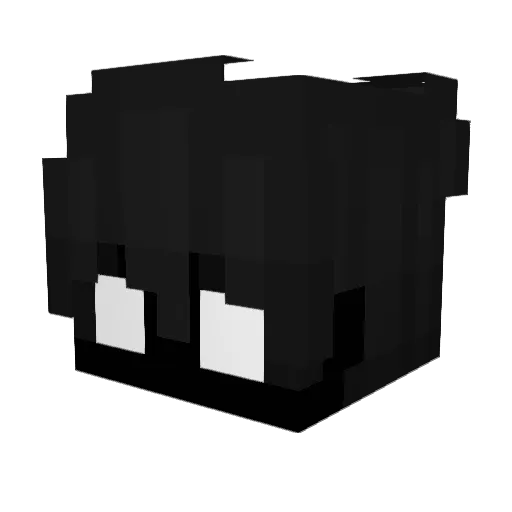 Tortoonoob Minecraft avatar head, 3D render