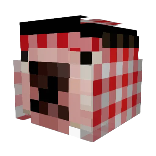 Tortponle Minecraft avatar head, 3D render