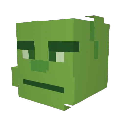 TortuWinnie Minecraft avatar head, 3D render
