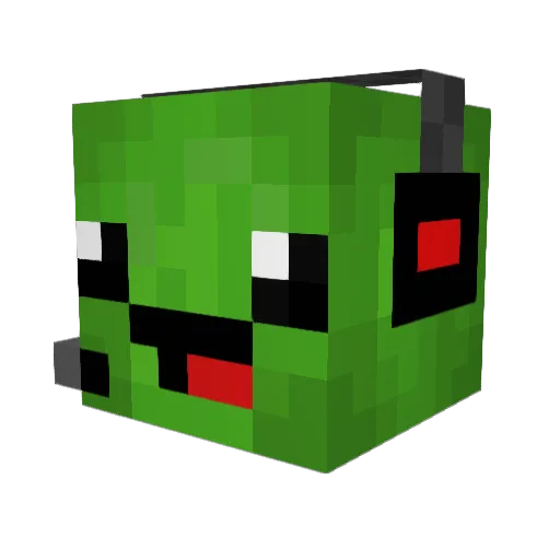 TortueMatMat Minecraft avatar head, 3D render