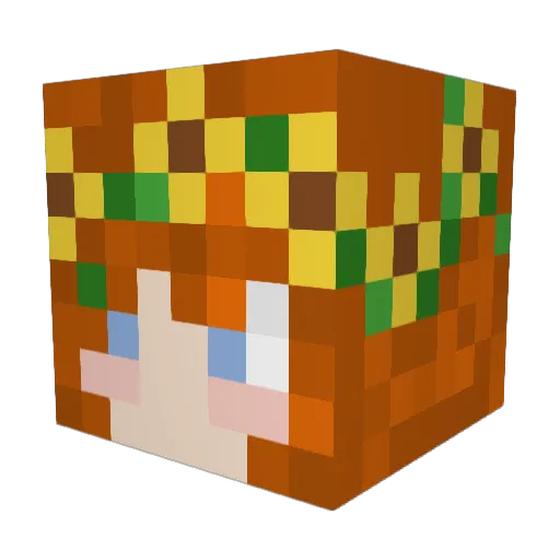 Tortuga216 Minecraft avatar head, 3D render