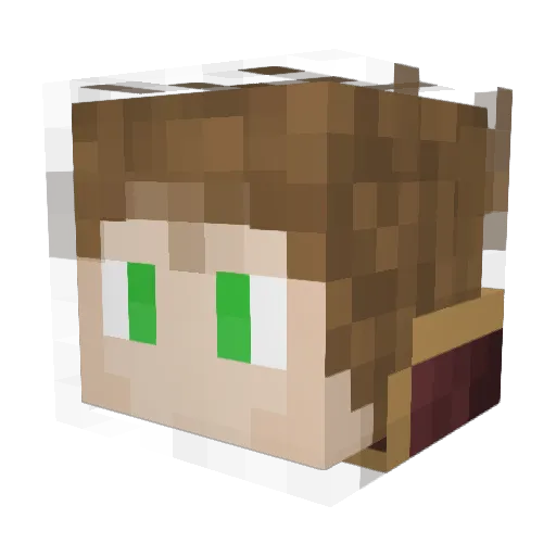Tortuga77 Minecraft avatar head, 3D render