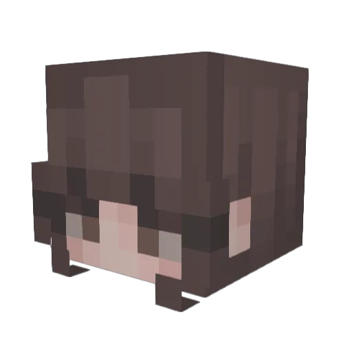 Tortuga987 Minecraft avatar head, 3D render
