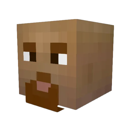 TortuousAugur Minecraft avatar head, 3D render