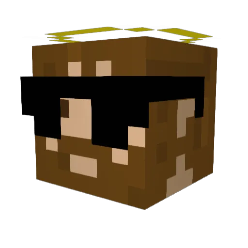 TorturedBalls Minecraft avatar head, 3D render