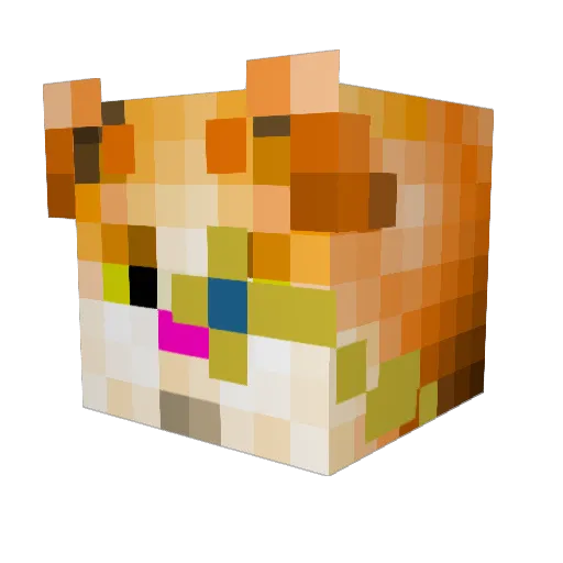 Torubyorun Minecraft avatar head, 3D render
