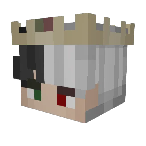 TorundoG Minecraft avatar head, 3D render