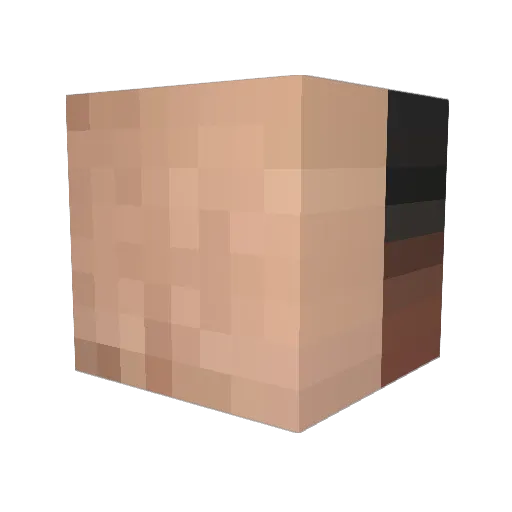 Torvaltz22 Minecraft avatar head, 3D render