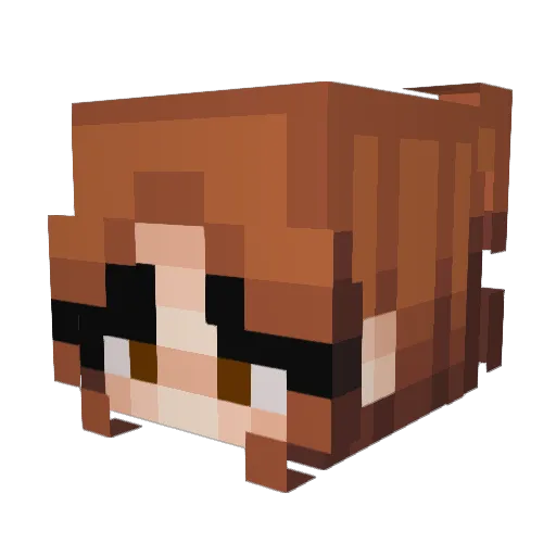 TorviiBjorn Minecraft avatar head, 3D render