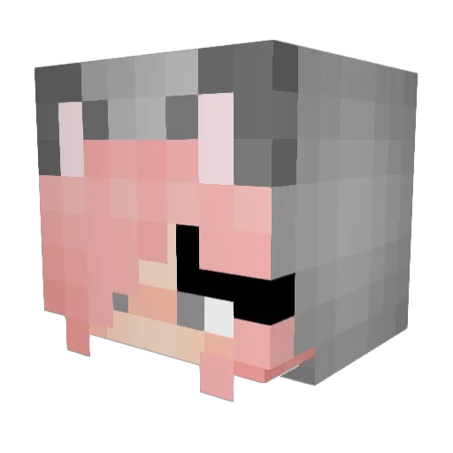 Toryen Minecraft avatar head, 3D render