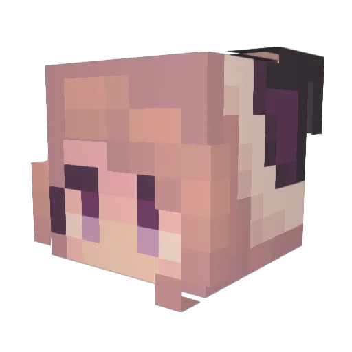 Tosca1007 Minecraft avatar head, 3D render