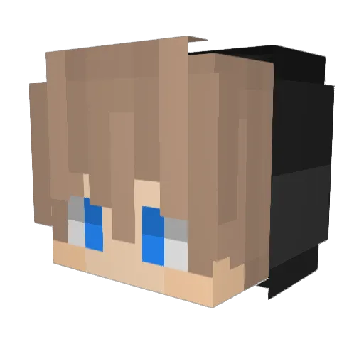 Tosco97 Minecraft avatar head, 3D render