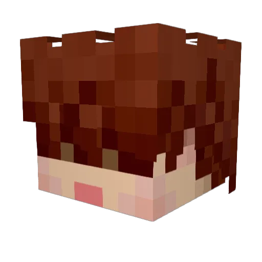 Toshiomi Minecraft avatar head, 3D render