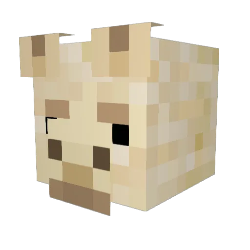 Toshiro1822 Minecraft avatar head, 3D render