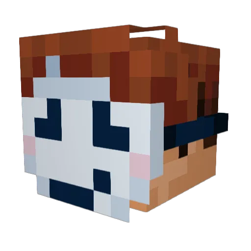 Toshiscool Minecraft avatar head, 3D render
